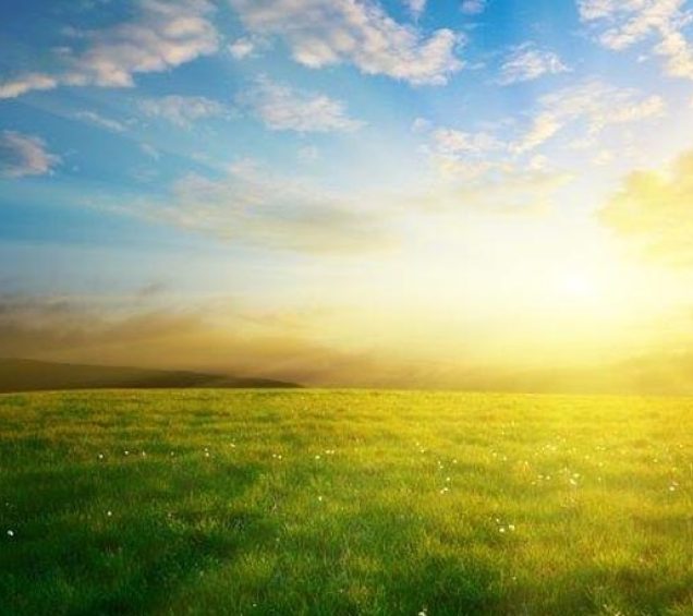 Bright sunrise appearing on a green horizon in front of a blue sky.