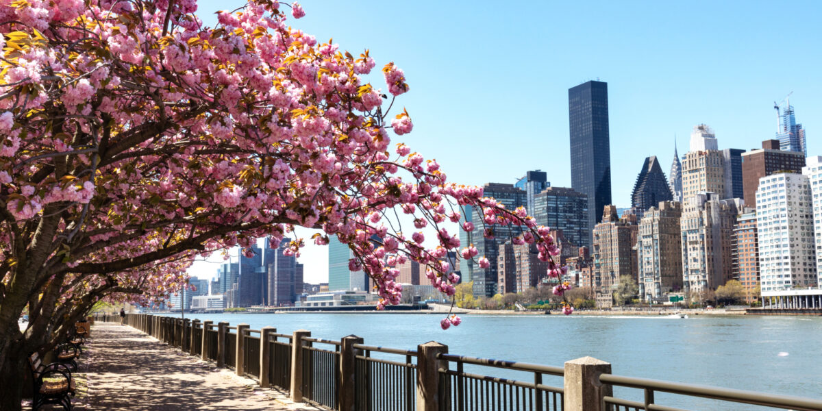 2026 New York Gratitude Breakfast