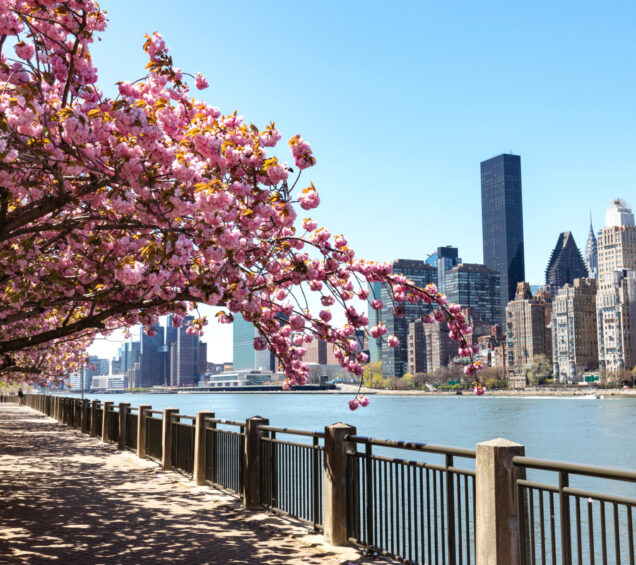 2026 New York Gratitude Breakfast