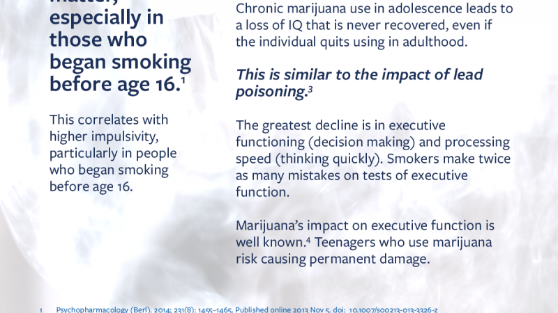 Infographic describing marijuana's impact on cognitive function on teenagers, including a permanent 6 point IQ drop when used before the age of 16.
