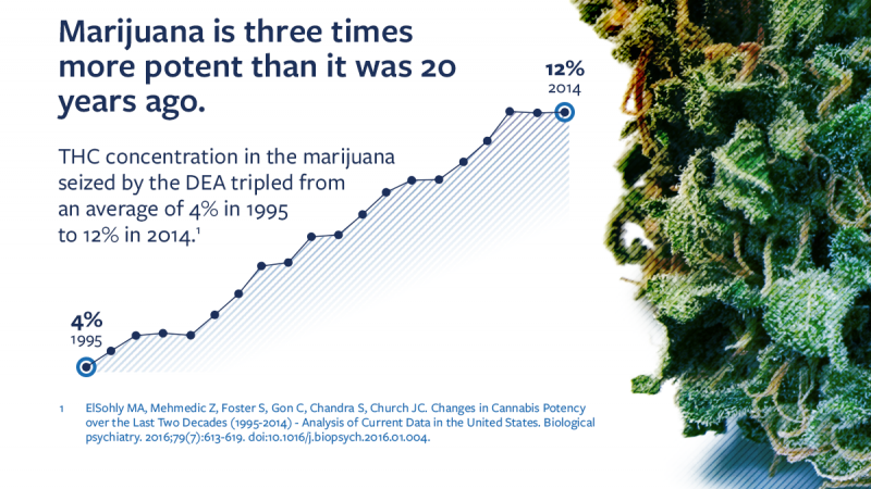Infographic explaining that marijuana is has increased in potency from an average 4% concentration of THC in 1995, to 12% in 2014.